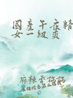 国产午夜精品男女一级爽