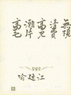 高潮高清无遮挡毛片免费视频