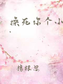 操死你个小骚货.