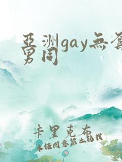 亚洲gay无套男同