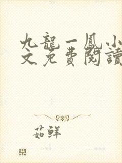 九龙一凤小说全文免费阅读无弹窗