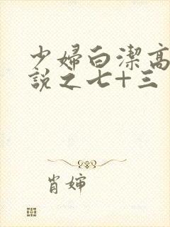 少妇白洁高义小说之七+三