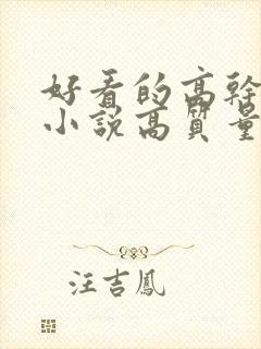 好看的高干言情小说高质量文笔好