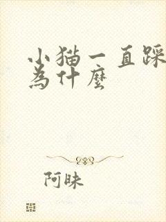 小猫一直踩奶是为什么