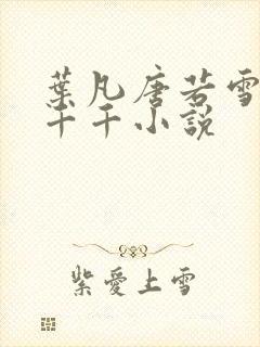 叶凡唐若雪医婿千千小说