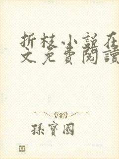 折枝小说在线全文免费阅读无弹窗