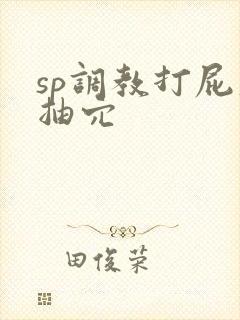 sp调教打屁股抽穴