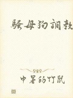 骚母狗调教h
