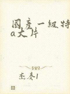 国产一级特黄aa大片