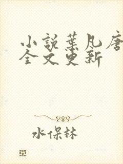 小说叶凡唐若雪全文更新