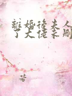 离婚后夫人她成了大佬未删减版短剧