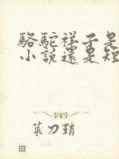 骆驼祥子是长篇小说还是短篇