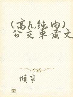 (高h,纯肉)公交车黄文