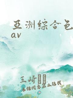 亚洲综合色婷婷av