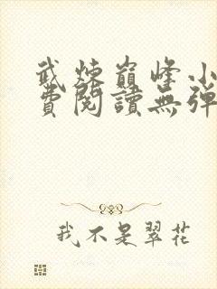 武炼巅峰小说免费阅读无弹窗笔趣阁