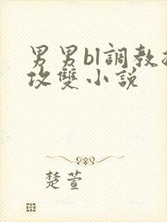 男男bl调教总攻双小说