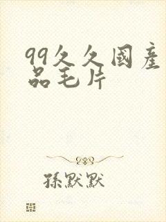 99久久国产精品毛片