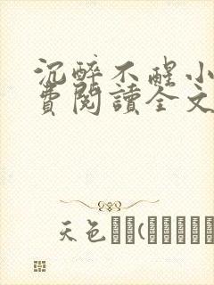 沉醉不醒小说免费阅读全文无弹窗