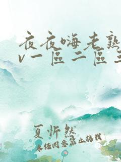 夜夜嗨老熟女av一区二区三区