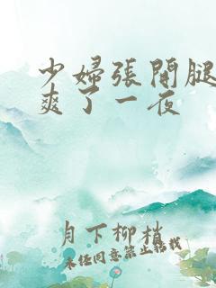 少妇张开腿让我爽了一夜