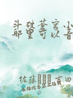 斗破苍穹小说在哪里可以看