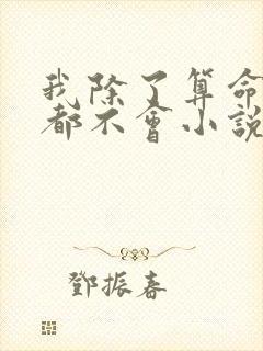 我除了算命什么都不会小说