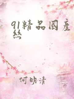 91精品国产黑丝