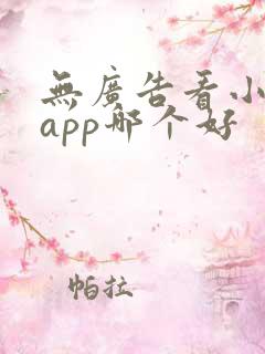 无广告看小说的app哪个好