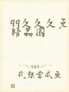 99久久久免费精品国
