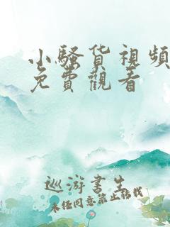 小骚货视频在线免费观看