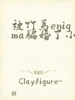 被竹马enigma骗婚了小说