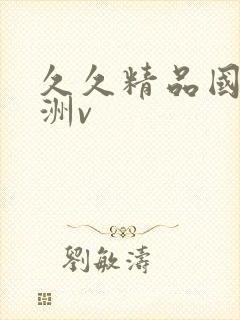 久久精品国产亚洲v