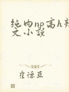 纯肉np高h辣文小说