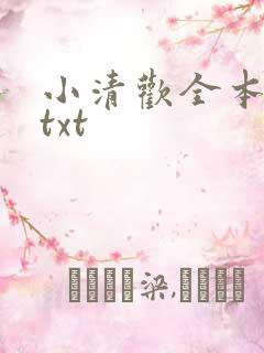 小清欢全本番外txt