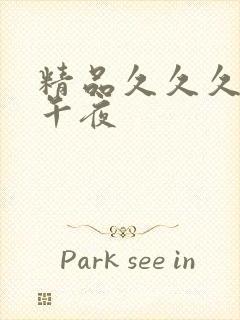 精品久久久久久午夜