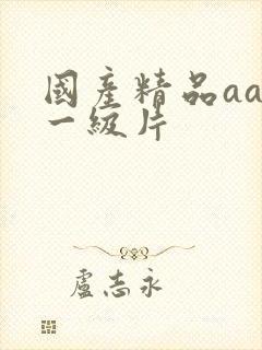 国产精品aaa一级片