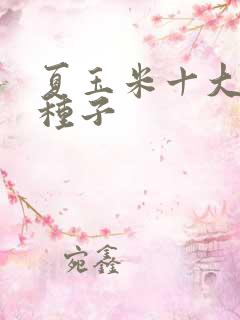 夏玉米十大名牌种子