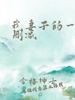 我妻子的一切无删减