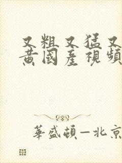 又粗又猛又爽又黄国产视频