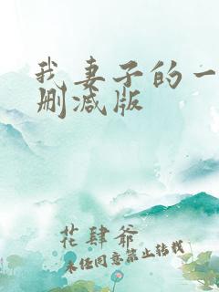 我妻子的一切未删减版