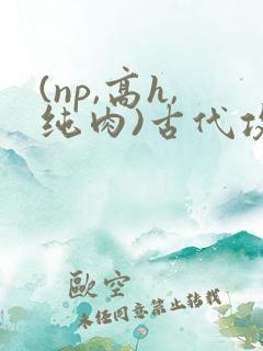(np,高h,纯肉)古代攻受