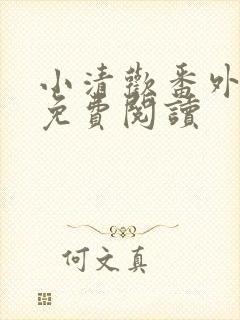 小清欢番外全文免费阅读