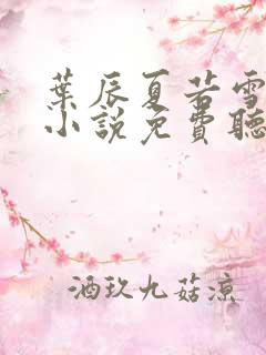 叶辰夏若雪有声小说免费听书