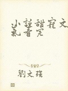 小说甜宠文一口气看完