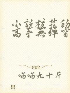 小说校花的贴身高手无弹窗全文免费阅读