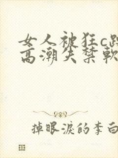 女人被狂c躁到高潮失禁软件