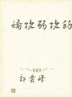 娇攻弱攻的小说