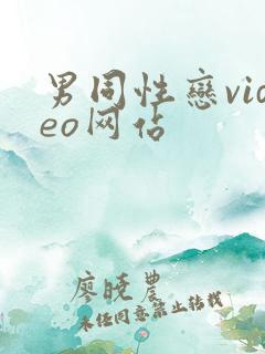 男同性恋video网站