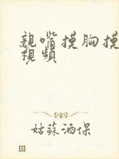 亲嘴摸胸摸下面视频