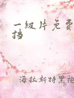 一级片免费无遮挡